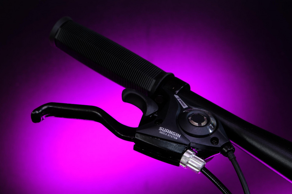 FOLTAS 22 21sp Розовый